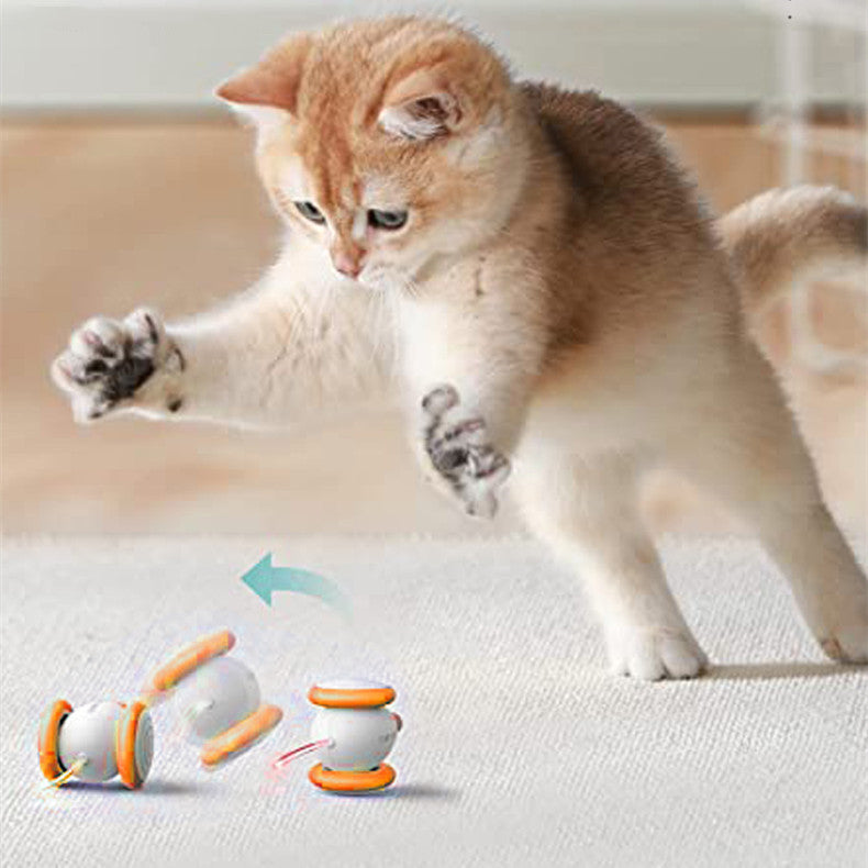rechargeable electric cat toy