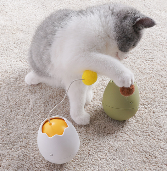 Funny cat toys