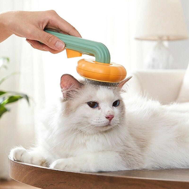 Cat Brush Grooming Pet Pumpkin Brush