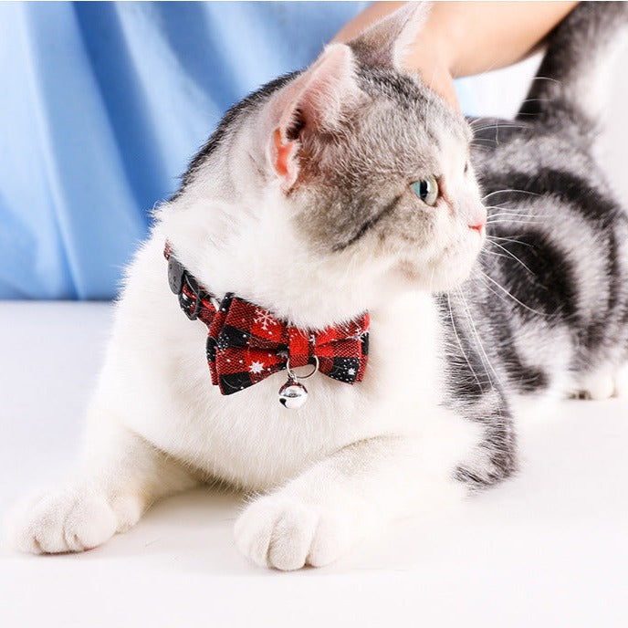 Bow Tie Collar